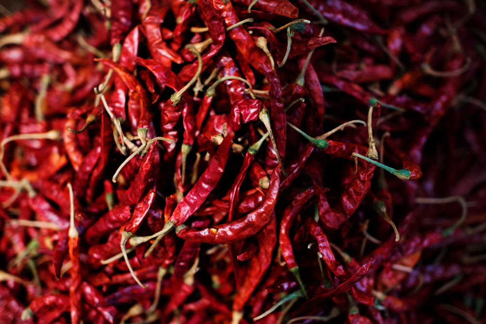 Top 10 Chilli Exporters from India You Can Trust in Global Markets